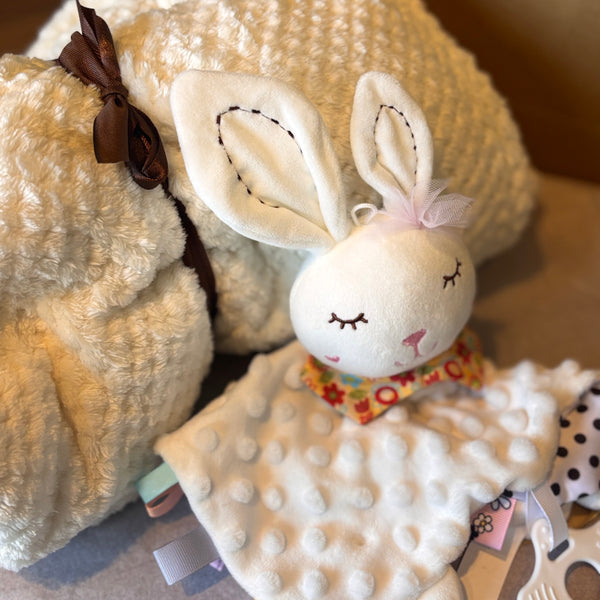 Bunny Comforter and Blanket Set